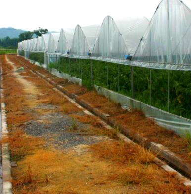 大棚种植场地应用气象监测站