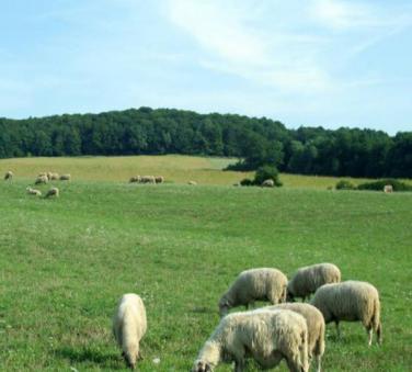 牧畜场全自动气象监测站应用