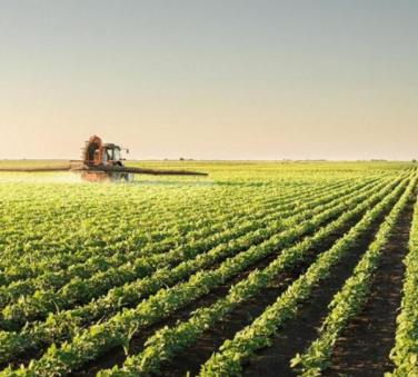 农业田间全自动气象环境监测站应用