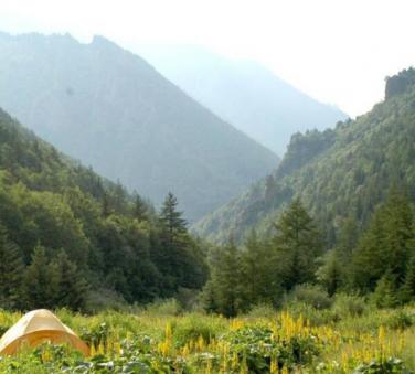 山林全自动气象监测站应用